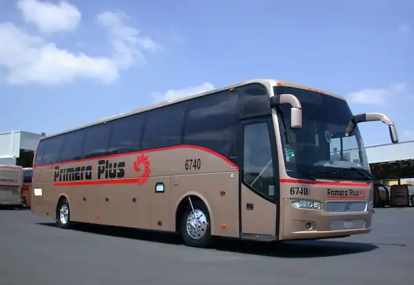 Autobús Público (Directo): Para el viajero económico