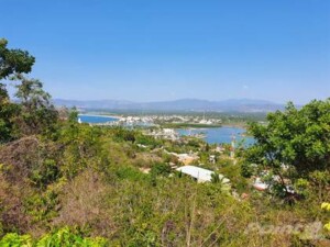 Lote 1 M - 16 Colimilla