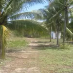 Lotes y Terrenos en venta Barra de Navidad Jalisco