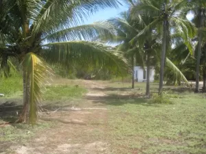 Lots and Land for sale in Barra de Navidad by Owner